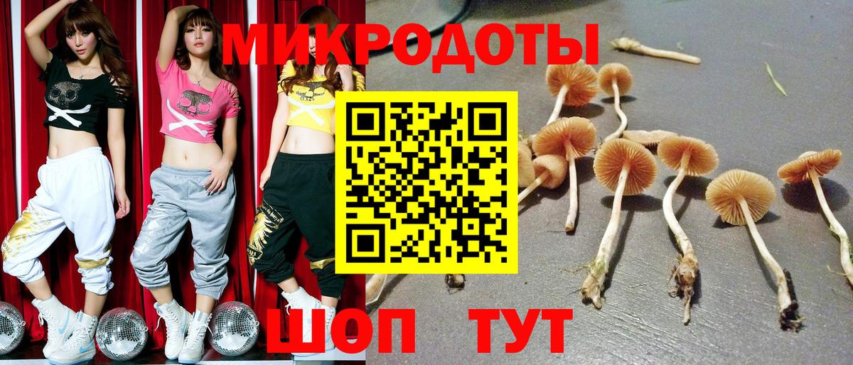 Комсомольск-на-Амуре  Галлюциногенные грибы мицелий  Вход с VPN  Галлюциногенные грибы ЛСД 